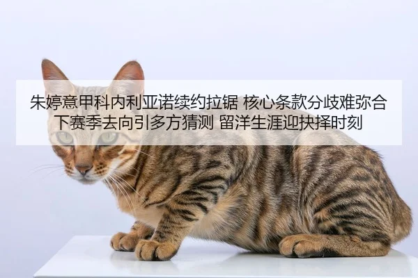 zhu-ting-yi-jia-ke-nei-li-ya-nuo-xu-yue-la-ju-he-xin-tiao-kuan-fen-qi-nan-mi-he-xia-sai-ji-qu-xiang-yin-duo-fang-cai-ce-2-259.jpg