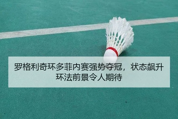luo-ge-li-qi-huan-duo-fei-nei-sai-qiang-shi-duo-guan-zhuang-tai-biao-sheng-huan-fa-qian-jing-ling-ren-qi-dai-2-677.jpg