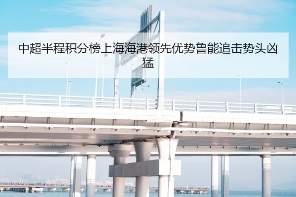 中超半程积分榜上海海港领先优势鲁能追击势头凶猛