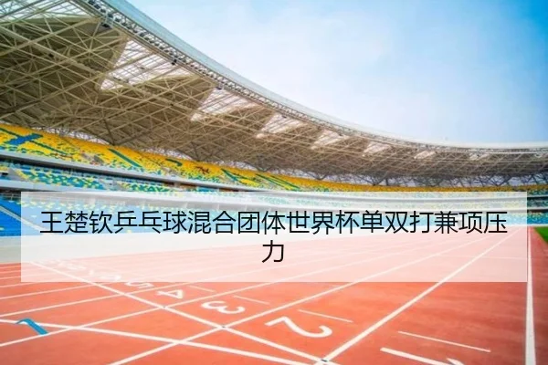 wang-chu-qin-ping-pang-qiu-hun-he-tuan-ti-shi-jie-bei-dan-shuang-da-jian-xiang-ya-li-2-559.jpg